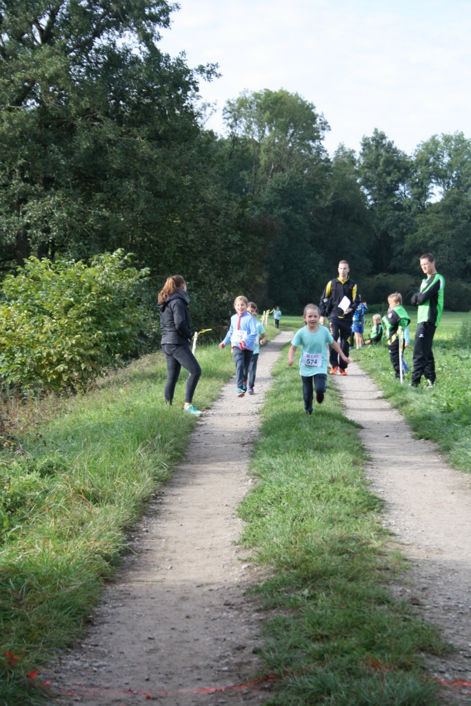 Bild 1 (44)